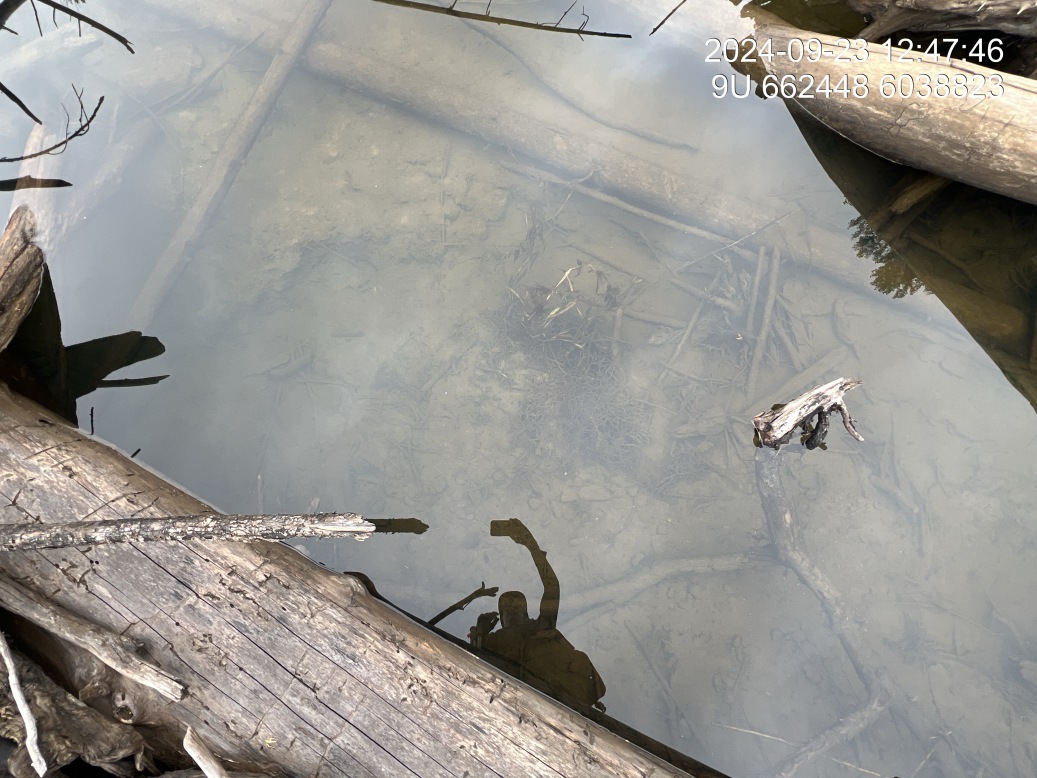 Substrate composition