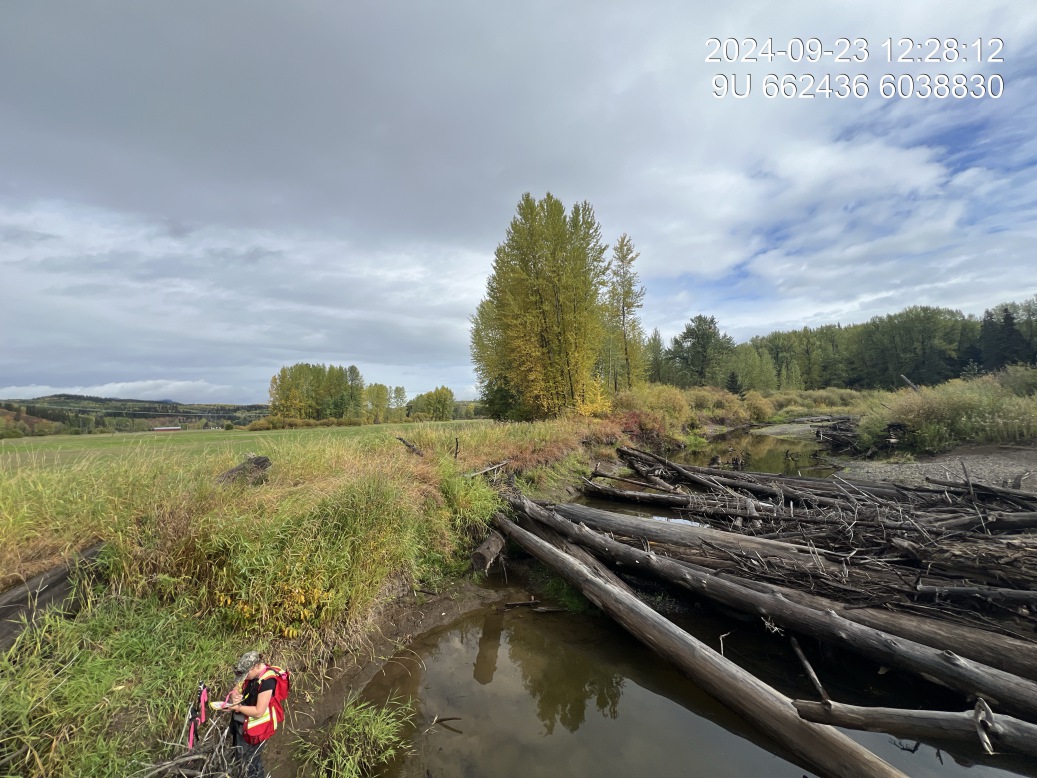 View of upstream end of site