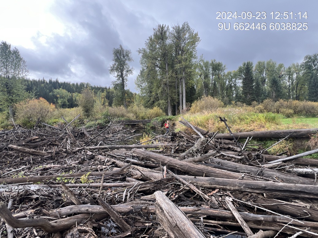 View of upstream end of site