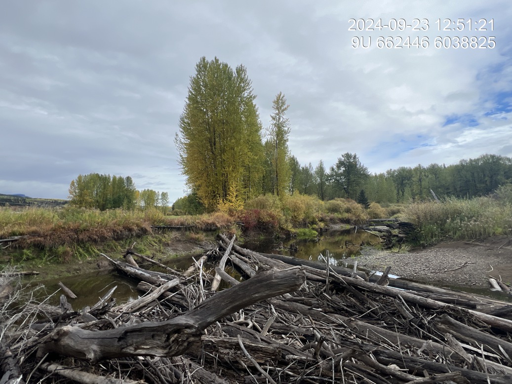 View of downstream end of site