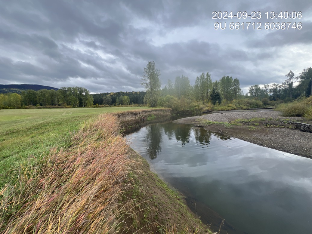 View of upstream end of site