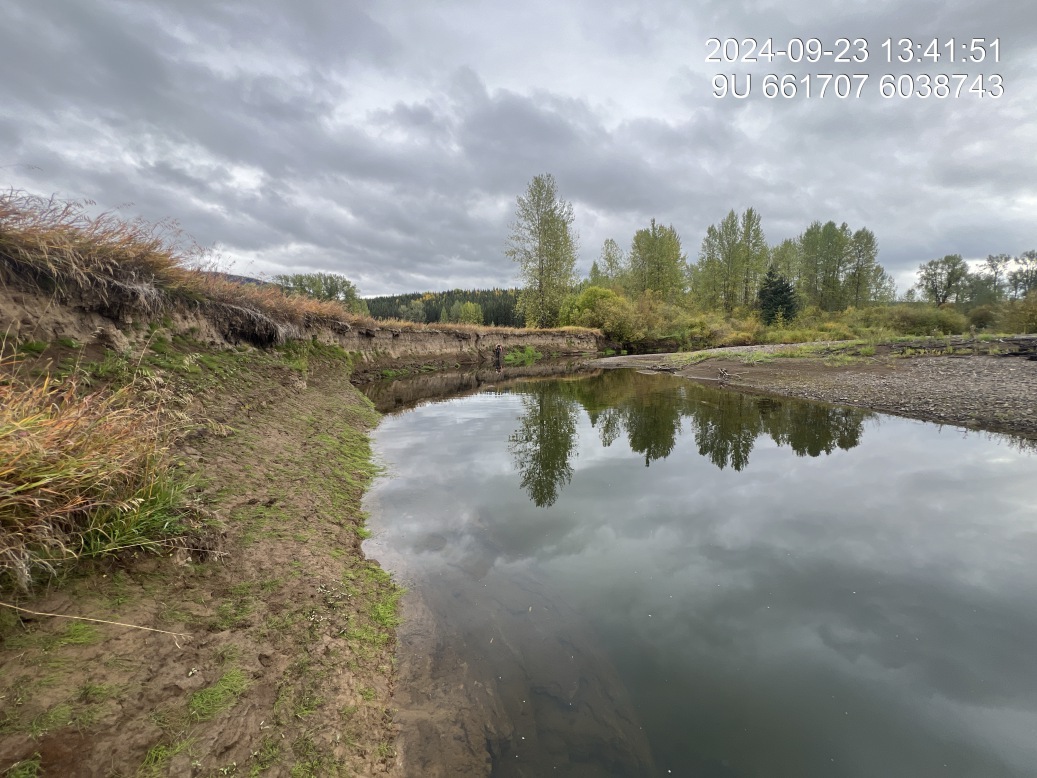 View of upstream end of site