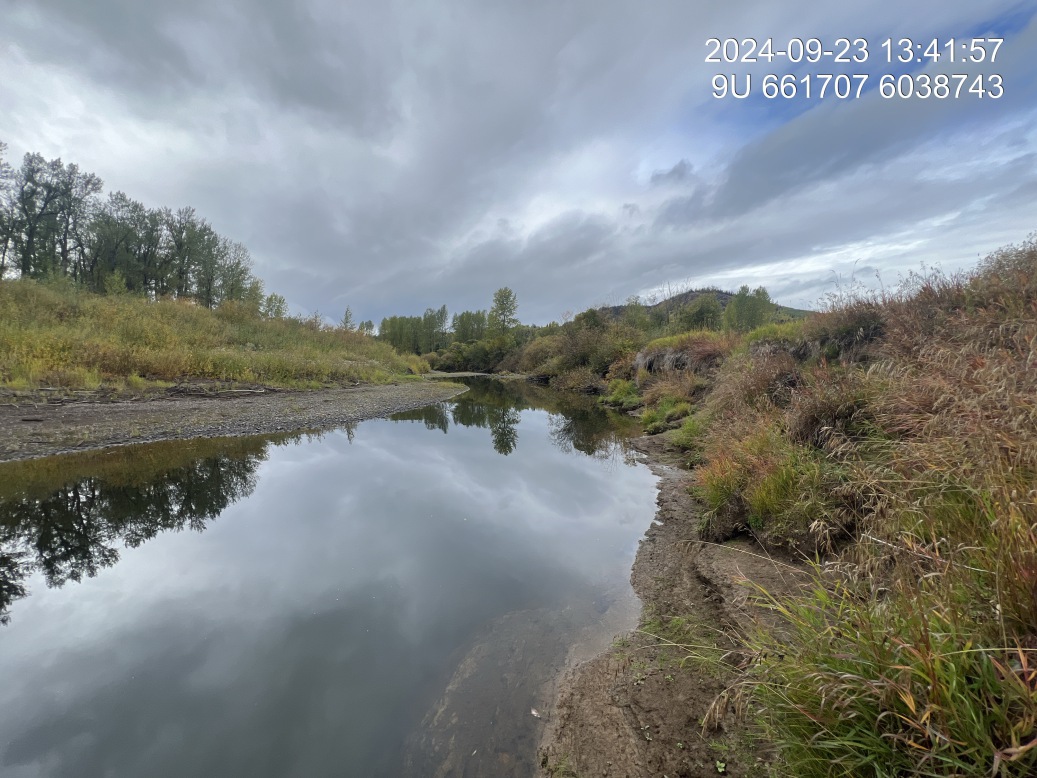View of downstream end of site