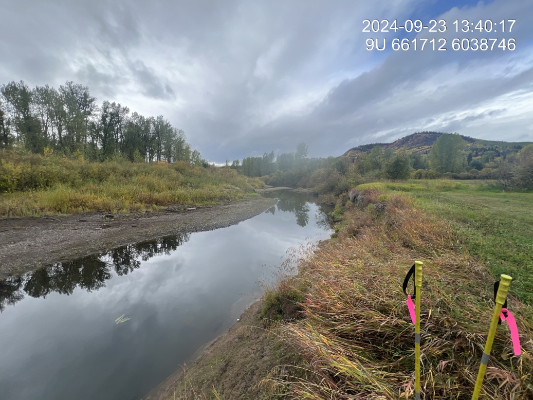 View of downstream end of site