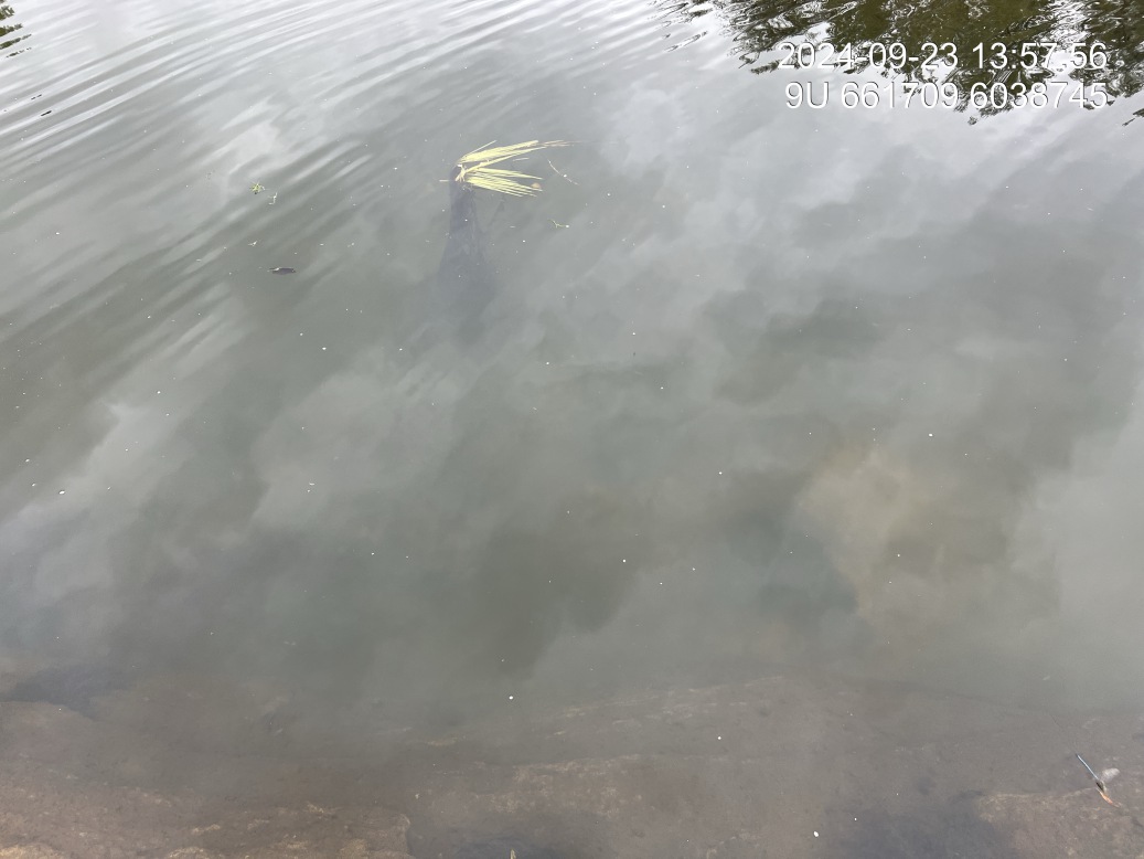 Substrate composition