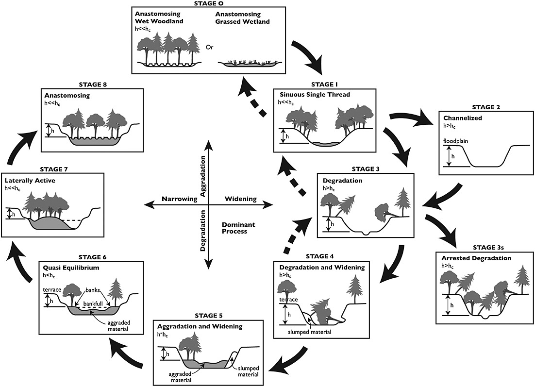 Cluer and Thorne’s (2014) stream evolution model which introduced stage 0, a stage that represents the state of the river before disturbances.